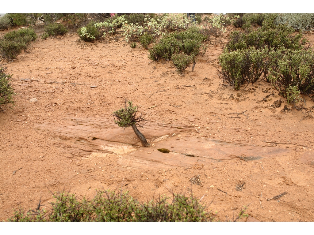   , Arches National Park, Utah